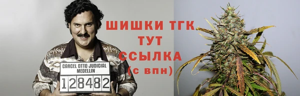 амф Магадан