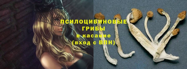 амф Магадан